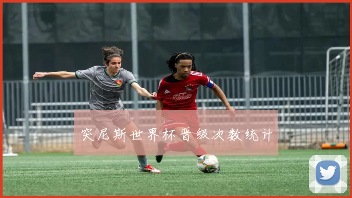 突尼斯世界杯晋级次数统计