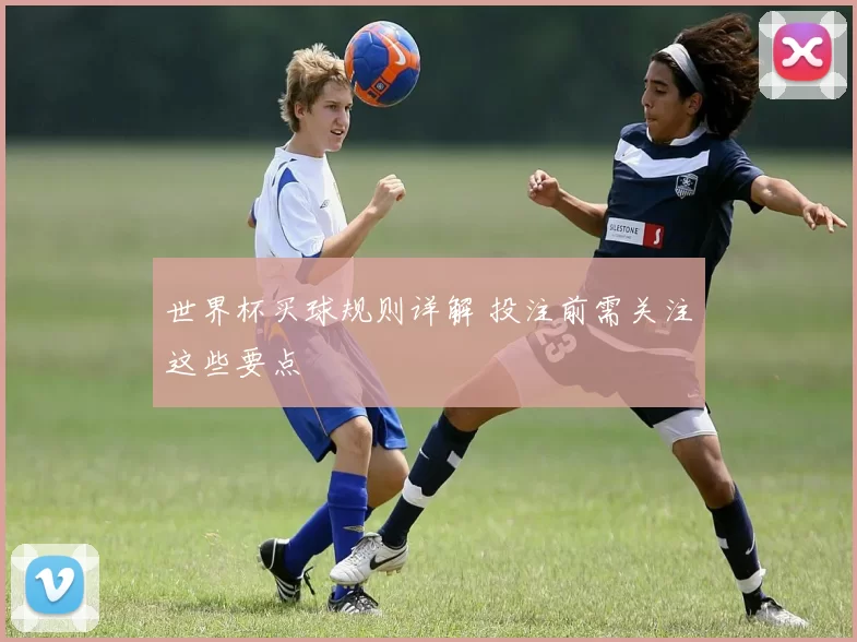 世界杯买球规则详解 投注前需关注这些要点