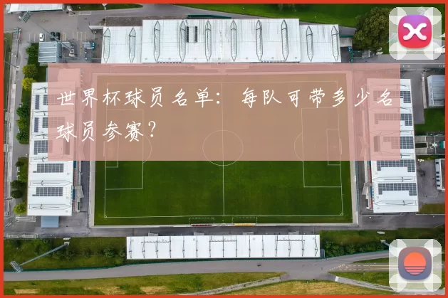 世界杯球员名单:每队可带多少名球员参赛?