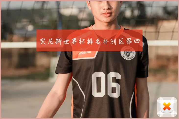 突尼斯世界杯排名非洲区第四