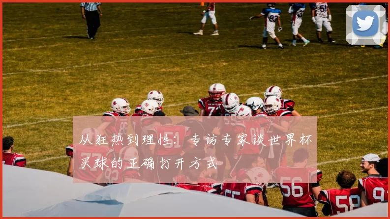 从狂热到理性：专访专家谈世界杯买球的正确打开方式