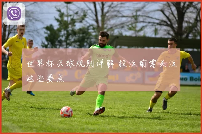 世界杯买球规则详解 投注前需关注这些要点