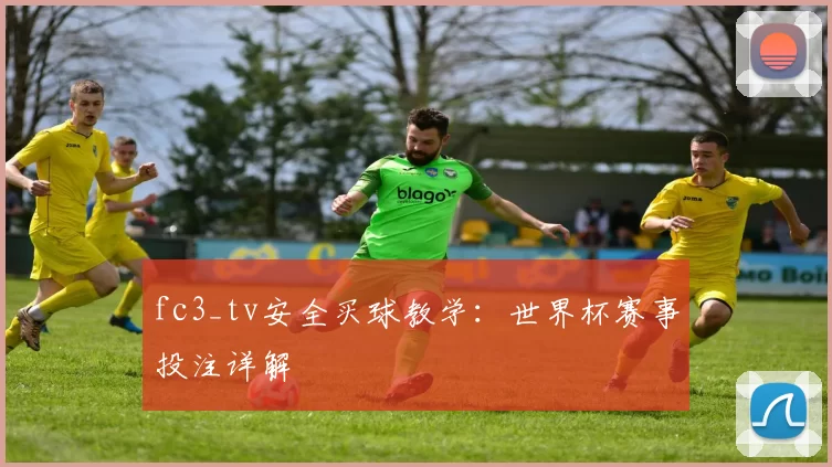 fc3_tv安全买球教学：世界杯赛事投注详解