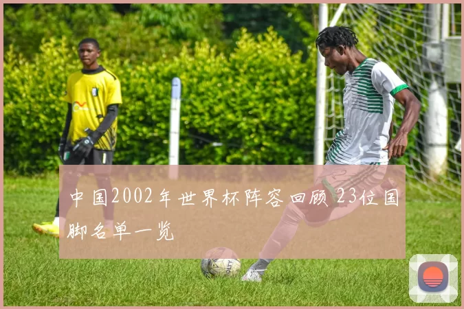中国2002年世界杯阵容回顾 23位国脚名单一览