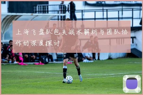 上海飞盘队包夹战术解析与团队协作的深度探讨