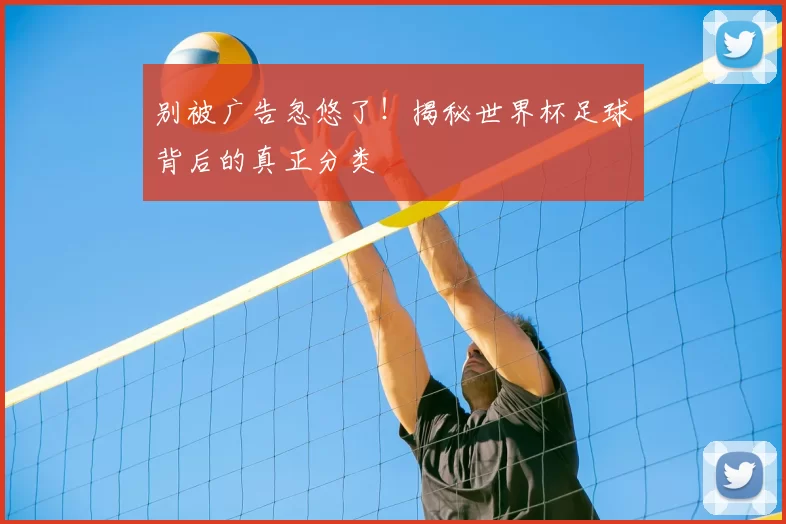 别被广告忽悠了！揭秘世界杯足球背后的真正分类