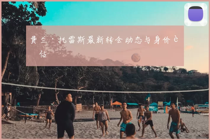 费兰·托雷斯最新转会动态与身价评估